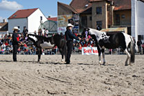 Mezinárodní výstava koní Kůň 2010 v Lysé nad Labem