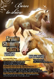 Armin Shining Spark